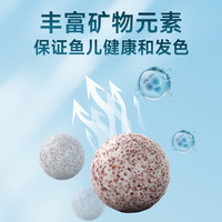 心澄净 中空石英球培菌鱼缸专用过滤材料水族生化纳米细菌屋净水滤材硝化