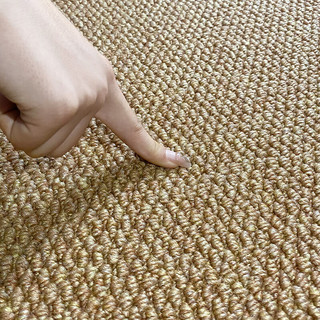 添美仿剑麻客厅地毯中古风家用厚款纯色地垫防滑地板保护垫 米白色 仿剑麻棉布底 宽0.4米丨长0.6米