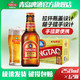 TSINGTAO 青岛啤酒 金质 小棕金258ml