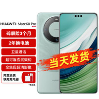 HUAWEI 华为 手机 Mate 60 Pro 12GB+1TB  雅川青