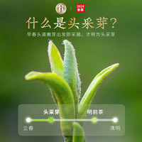 2024新茶乐品乐茶头采碧螺春茶叶明前特级苏州绿茶高档礼盒