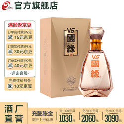 今世缘 国缘V6 49%vol 浓香型白酒 500ml 单瓶装