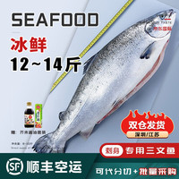海泽鲜  冰鲜挪威三文鱼整条(大西洋鲑)8-14斤 免费分切 新鲜三文鱼刺身 整条三文鱼14-12斤/条【刺身
