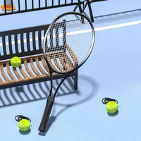 HEMMON【免注水底座】专业网球回弹训练器免网球拍带线回弹球单人初学者 网球单拍