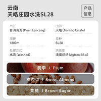 FISHER啡舍 云南澜沧天皓庄园水洗SL28浅烘 精品手冲咖啡豆 227g