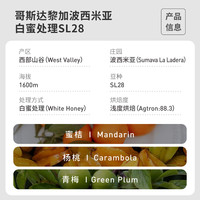 fisher 哥斯达黎加波西米亚庄园白蜜处理SL28 手冲咖啡豆227g/N2