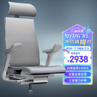  Ergonor/保友办公家具 智能 人体工学椅 联动扶手  银白美国网(云感科技座垫) 转椅