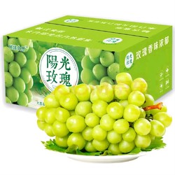 HYOJOO 一級果 陽光玫瑰葡萄 2.5斤裝（8-12G）
