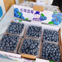 精选蓝莓 12盒装单果15mm-18 mm