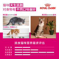 88VIP：ROYAL CANIN 皇家 EP42 全能优选成猫粮