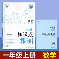 53小学数学知识点集训+答案全解全析 1-6年级任选