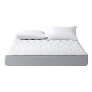 88VIP：MERCURY 水星家纺 保护罩防尘床罩床套抗菌防螨床护垫席梦思床垫软垫床品