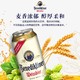 奇盟 百帝王啤酒500ml*24罐德国Benediktiner精酿白啤听装整箱