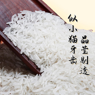 南凤鱼 甄选猫牙米5kg（10斤） 长粒香米大米当季新米日期新鲜
