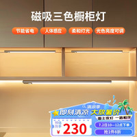 雷士 NVC Lighting宿舍学习酷毙灯橱柜灯洗手间厨房条形小夜灯三色触控组合B