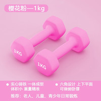 MF哑铃女小哑铃纯铁家用杠铃套装组合浸塑实心瘦手臂 【初学者】樱花粉-1kg*2 【儿童】樱花粉-1kg*2