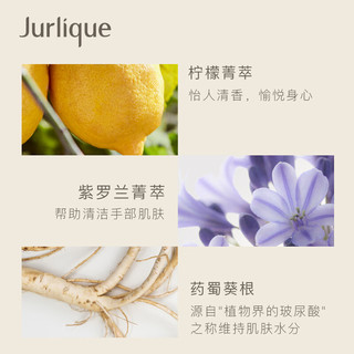 Jurlique 茱莉蔻 手部洗护套装 (柠檬天竺葵香清新洗手液300ml+玫瑰护手霜15ml)