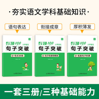 【易蓓】小语文病句专项训练标点符号修辞三四五六年级人教版病句修改大全讲解训练高分突破强化练习册习题本 【文学常识】字词句法突破（12本）+文学常识