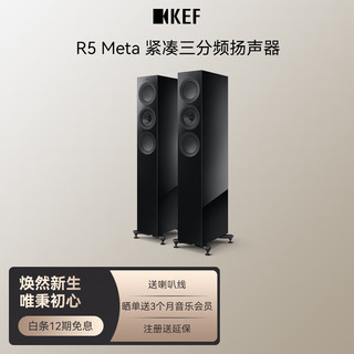 KEF R5 Meta+黑格尔H120高保真无源HiFi音箱功放套装发烧级家庭影院音响2.0电视同轴落地主箱