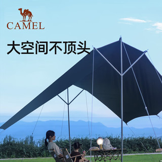 骆驼（CAMEL）天幕帐篷户外露营桌椅黑胶幕布防晒装备 133CA6B033 摩卡色