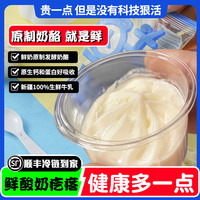 牧民人家新疆鲜酸奶疙瘩热巴同款特产奶酪杯奶豆腐酸奶球冰淇淋