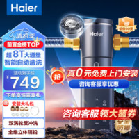 Haier 海尔 超7T前置过滤器双涡轮反冲洗 大通量 HP45-智能自动冲洗