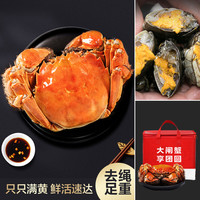 俏苏阁精品六月黄鲜活大闸蟹12只装1.3-1.6两/只活蟹礼盒