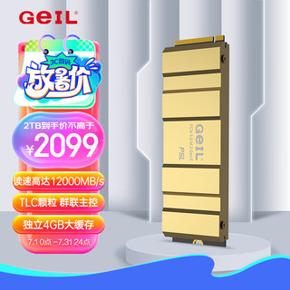 GeIL 金邦 2TB SSD固态硬盘 M.2接口(PCIe 5.0 x4)NVMe SSD游戏高性能版 高速12000MB/S P5L系列