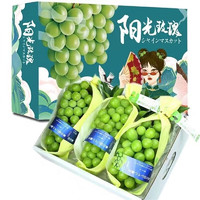 四川頭茬新鮮 陽光玫瑰葡萄 5斤彩箱裝（單果6g起）