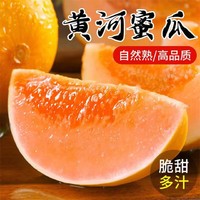 萧鲜生 特大果 民勤黄河蜜瓜 10斤装（2-3个）