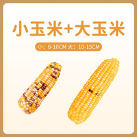 宠乐侠仓鼠磨牙棒零食小玉米芯棒粮食营养金丝熊兔子用品5-10cm迷你 1个装（大号+小号） 无规格