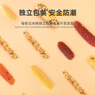 宠乐侠仓鼠磨牙棒零食小玉米芯棒粮食营养金丝熊兔子用品5-10cm迷你 【微瑕】5个装（小号） 无规格