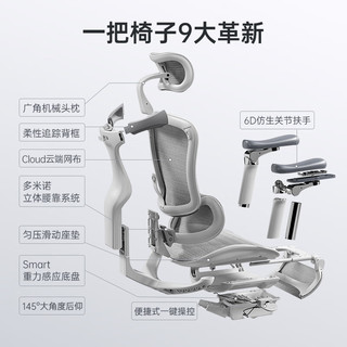 SIHOO 西昊 Doro C300 人体工学电脑椅 灰色 带脚踏款
