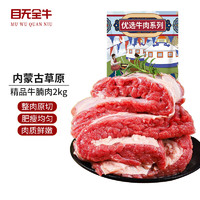 目无全牛 内蒙古牛腩肉2000g 火锅烤肉烧烤家常菜食材 生鲜冷冻牛肉