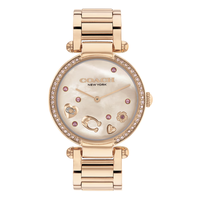COACH 蔻驰 CARY系列 34毫米石英腕表 14504266