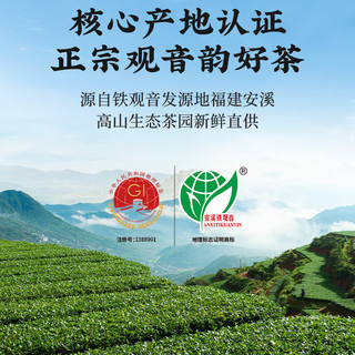 珍茶师乌龙茶安溪铁观音清香型特级500g罐装茶叶自己喝