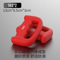 铁人（IRONMAN）手握拳击空击哑铃戈洛夫金拳速训练耐力负重男女搏击 魂动红【一个1KG】两个共2KG