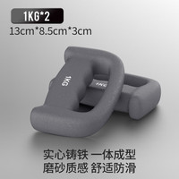 铁人（IRONMAN）手握拳击空击哑铃戈洛夫金拳速训练耐力负重男女搏击 岩石灰【一个1KG】两个共2KG