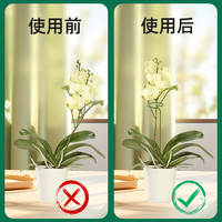 植物防倒伏支架铁艺绣球吊兰支撑杆园艺固定架爬藤花卉朱顶红花架