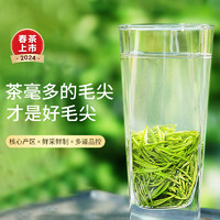 88VIP：乐品乐茶 新茶毛尖绿茶叶明前特级浓香茶一芽一叶250g