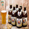 范佳乐 新日期德国教士啤酒450ml*12瓶白啤黑啤国产范佳乐小麦瓶装整箱