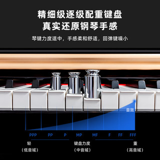 Wiyas威雅斯EP109立式电钢琴88键重锤家用儿童专业演奏数码智能琴 演奏级带灯跟弹浮雕-烤漆黑