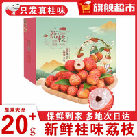 橙市码头增城桂味荔枝 老树广东荔枝果王 清甜多汁当季生鲜盒品 老树桂味礼盒 3斤 【含礼盒 净重2.5斤】