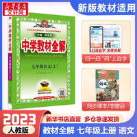 薛金星中学教材全解七年级上下册2024可选 适用7年级同步教材解读 初一 七年级下册 语文 人教版 RJ 七年级上册 语文 人教版 RJ