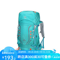 艾王2024专业户外登山双肩包40L升大容量耐磨防泼水男女轻便 条纹浅绿色 8109C 35+5L（背负系统+送防雨罩）