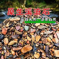 龟龟爬天下溪流石底沙鱼鱼缸造景底砂天然装饰乌龟原生雨林水族箱沙子 1-2厘米溪流石 2斤装