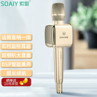 索爱（soaiy）MC29蓝牙无线麦克风K歌话筒音响音箱一体直播电视手机家庭KTV录歌演唱会议室麦克风  香槟金