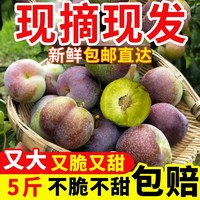 百亿补贴：阿饶 李子茵红李半边脱骨李子5斤