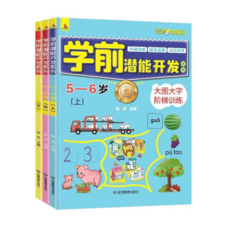 学前潜能开发5-6岁全套3册幼儿全脑思维逻辑专注力训练宝宝书籍益智启蒙早教书绘本幼儿园智力大开发