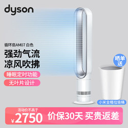 dyson 戴森 落地电风扇强劲稳定气流 家用办公室适用 空气循环扇夏季凉风10档可调节 AM07银白色